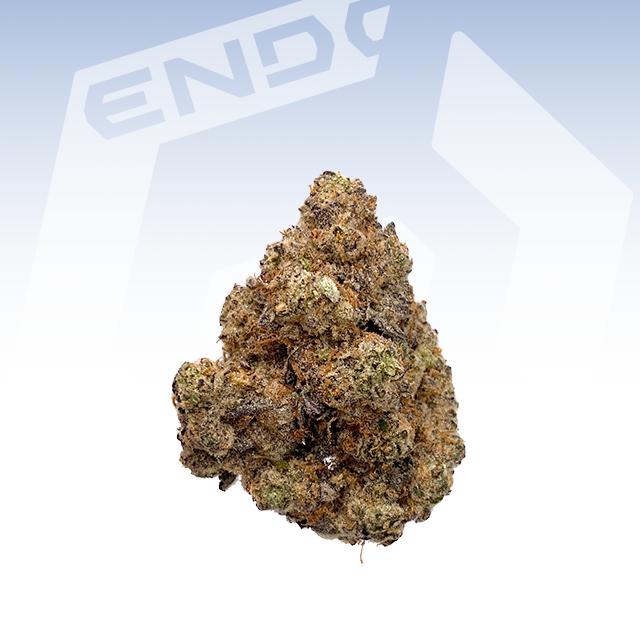 ENDO | SOAP | 3.5G